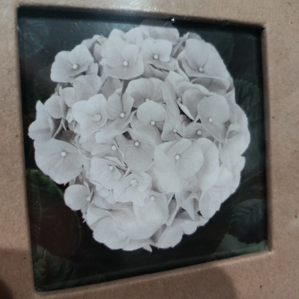 Recollections 8.5